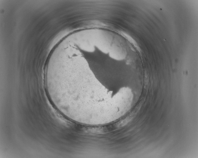 X0000080731047200701051054