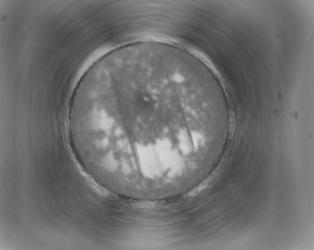 X0000080731048200701051054