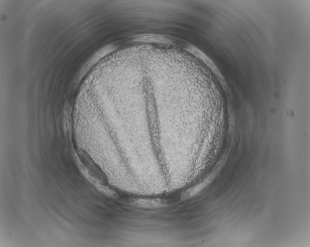 X0000080731049200701051054