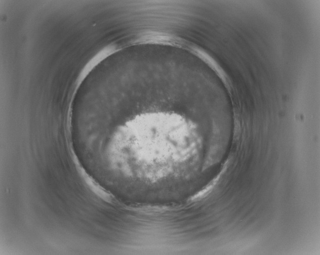 X0000080731050200701051054