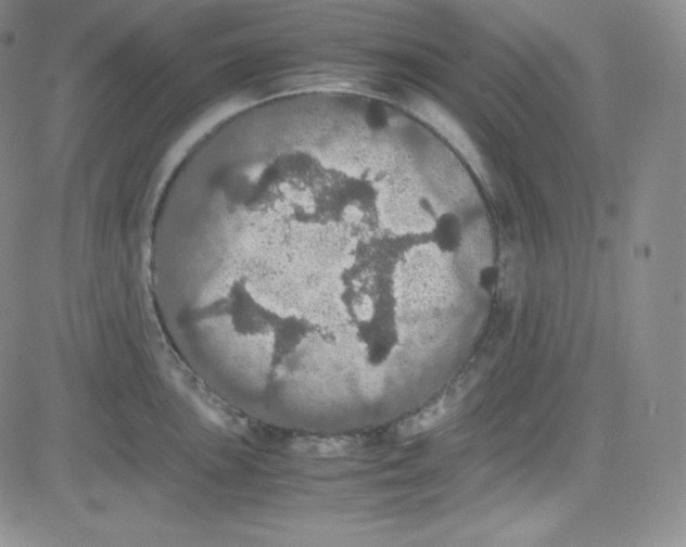 X0000080731051200701051054