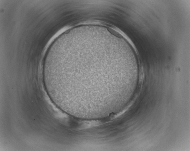 X0000080731053200701051054