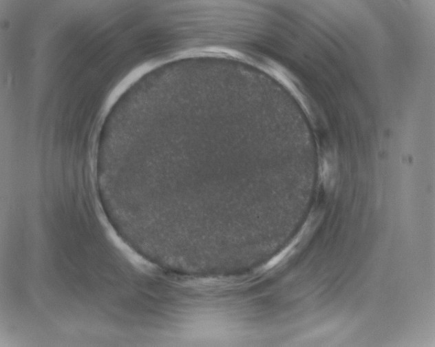 X0000080731054200701051054