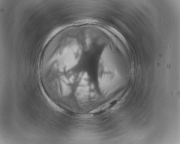 X0000080731055200701051054