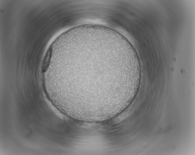 X0000080731056200701051054