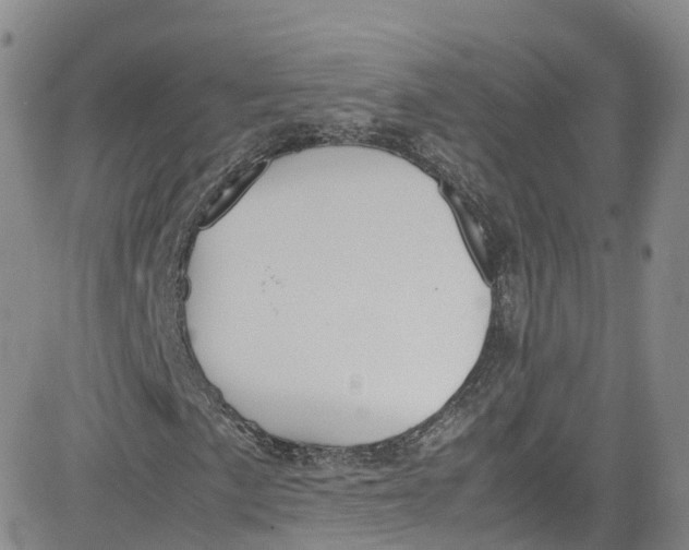 X0000080731057200701051053