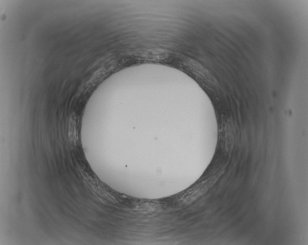 X0000080731058200701051053