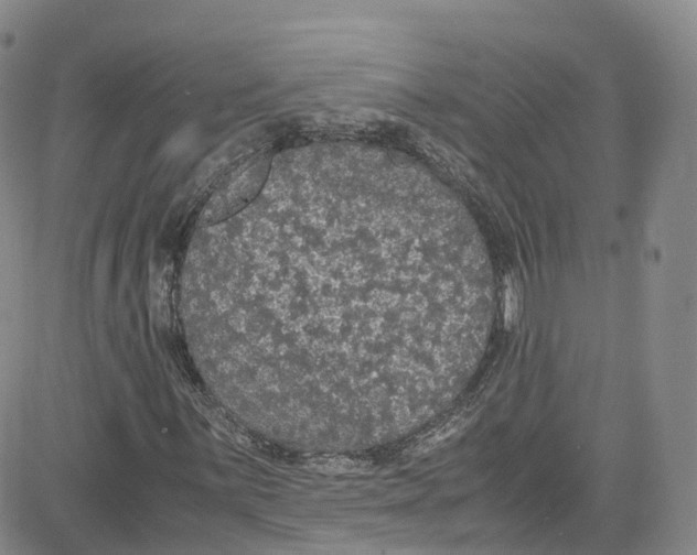 X0000080731059200701051053