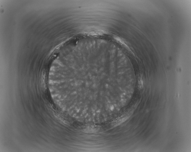 X0000080731060200701051053