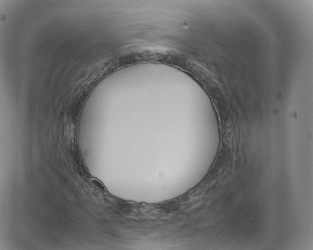 X0000080731061200701051053