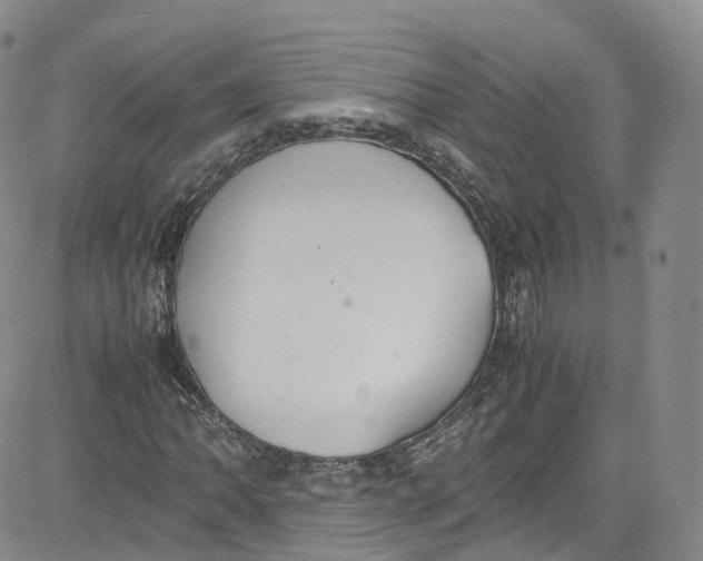 X0000080731062200701051053