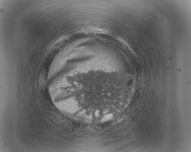 X0000080731063200701051053