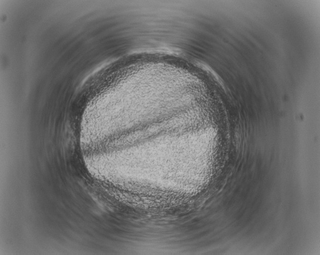 X0000080731064200701051053