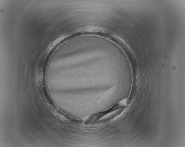 X0000080731065200701051053