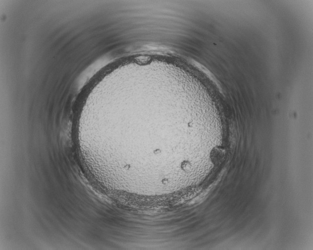 X0000080731066200701051053