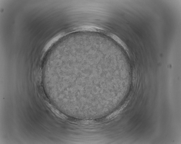 X0000080731067200701051053