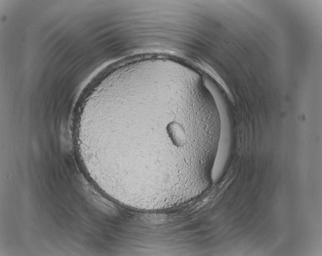 X0000080731068200701051053