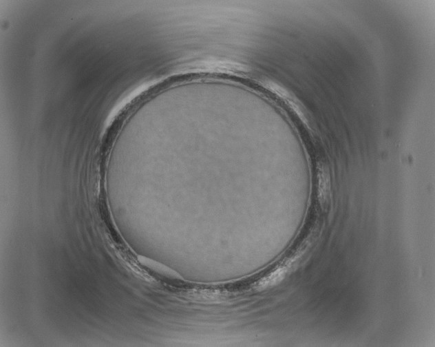 X0000080731069200701051053