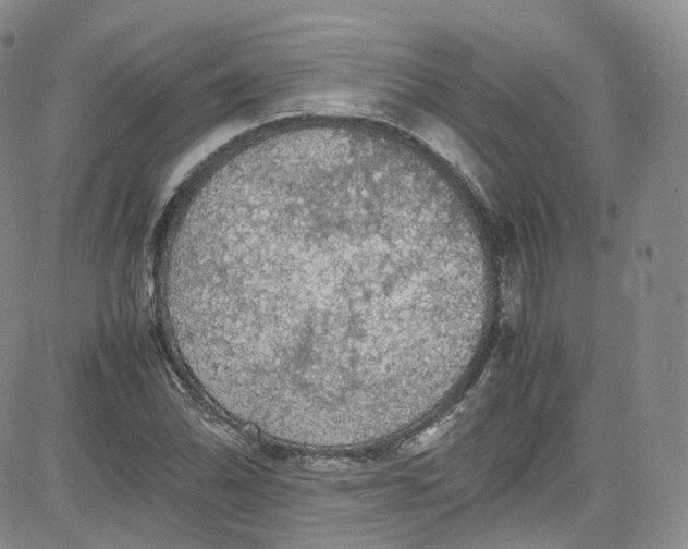 X0000080731070200701051053