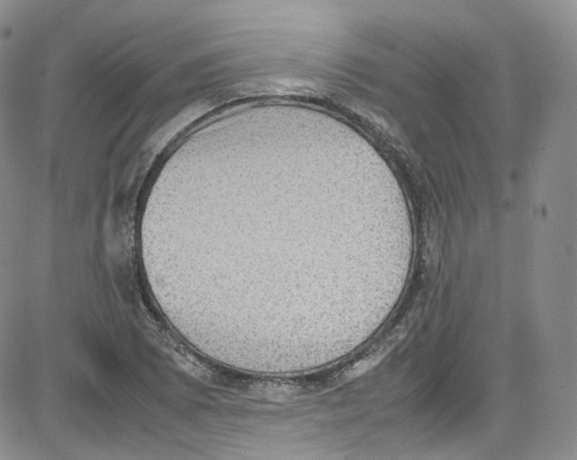 X0000080731073200701051053