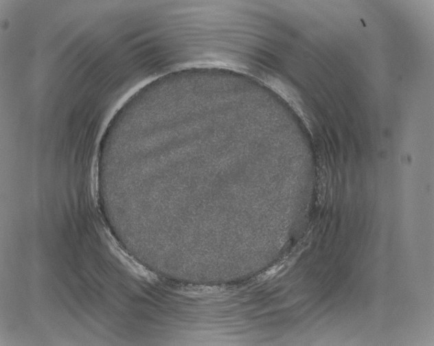 X0000080731076200701051053