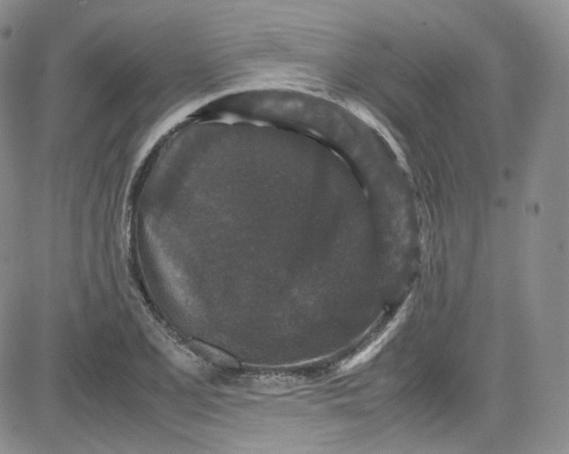 X0000080731077200701051053