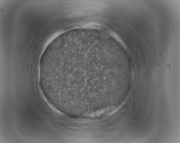 X0000080731079200701051053