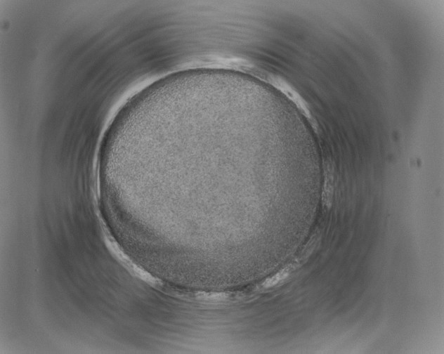 X0000080731080200701051053