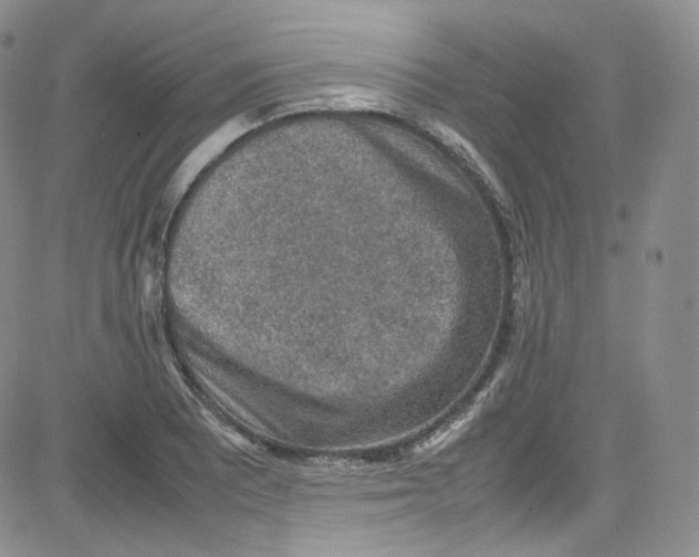 X0000080731081200701051053