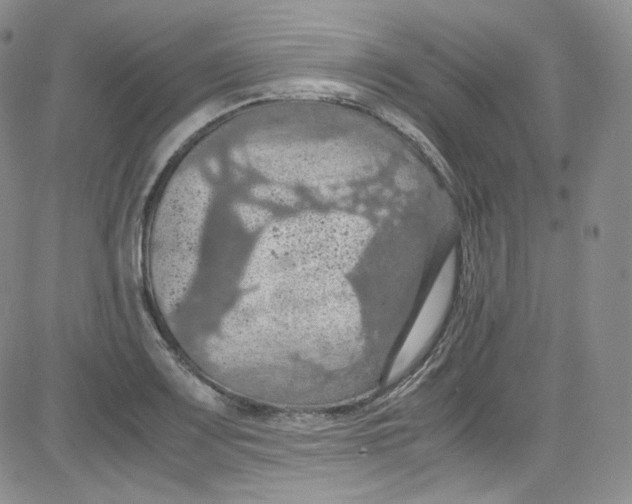 X0000080731083200701051053