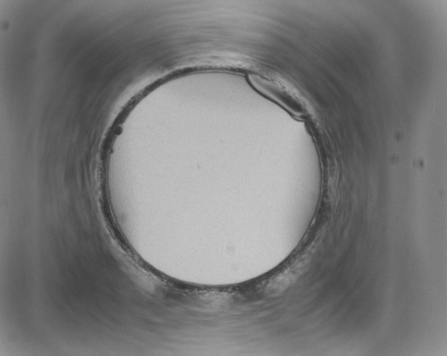 X0000080731085200701051053