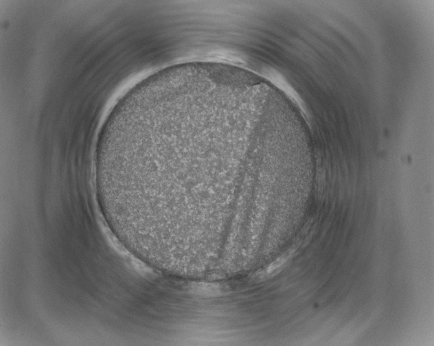 X0000080731088200701051053