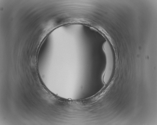 X0000080731089200701051053