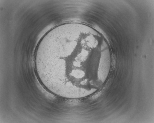 X0000080731090200701051053