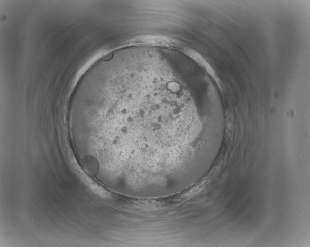 X0000080731091200701051053