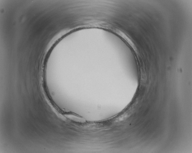 X0000080731093200701051053