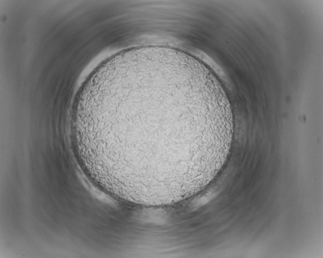 X0000080731094200701051053