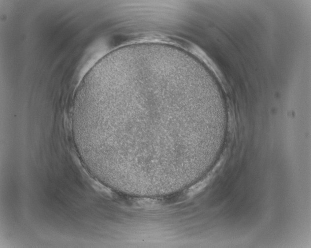 X0000080731097200701051053