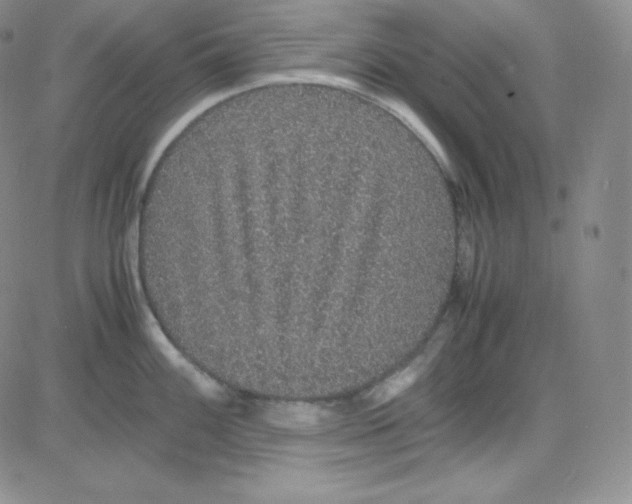 X0000080731100200701051053