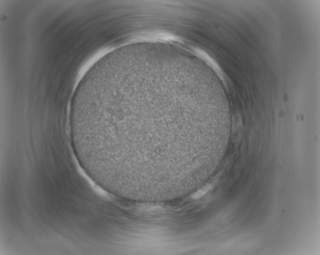 X0000080731103200701051053