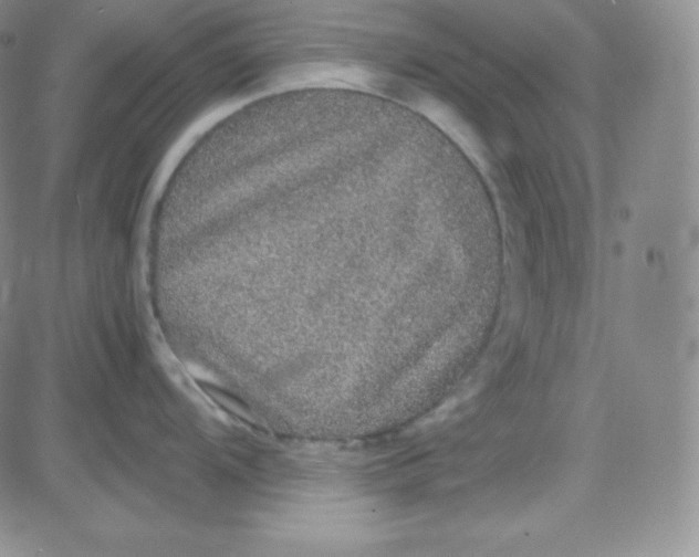 X0000080731104200701051053