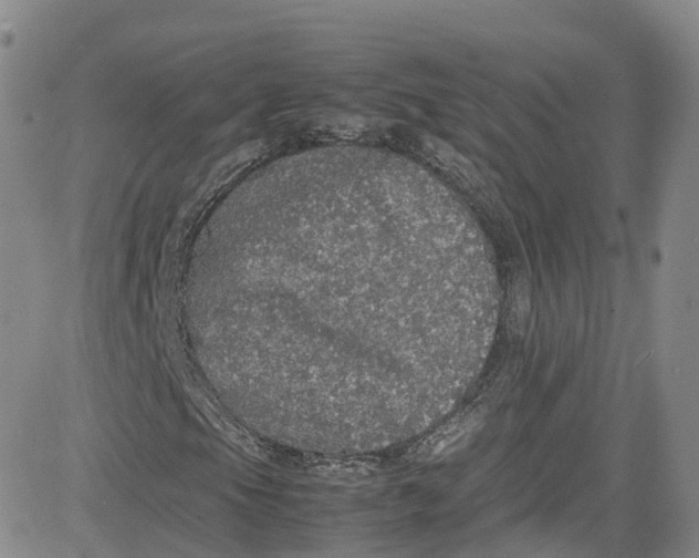 X0000080731105200701051052