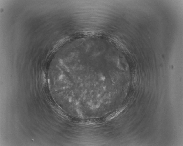 X0000080731106200701051052