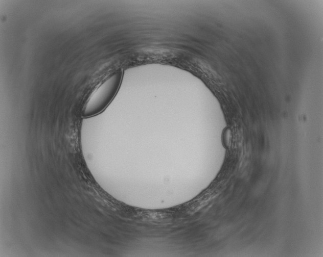 X0000080731109200701051052