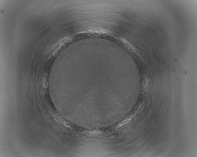 X0000080731110200701051052