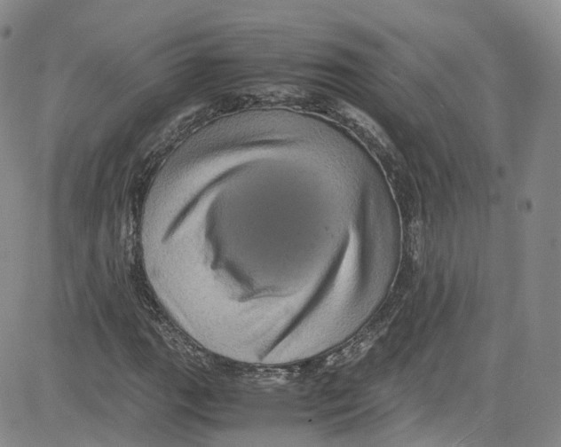 X0000080731111200701051052