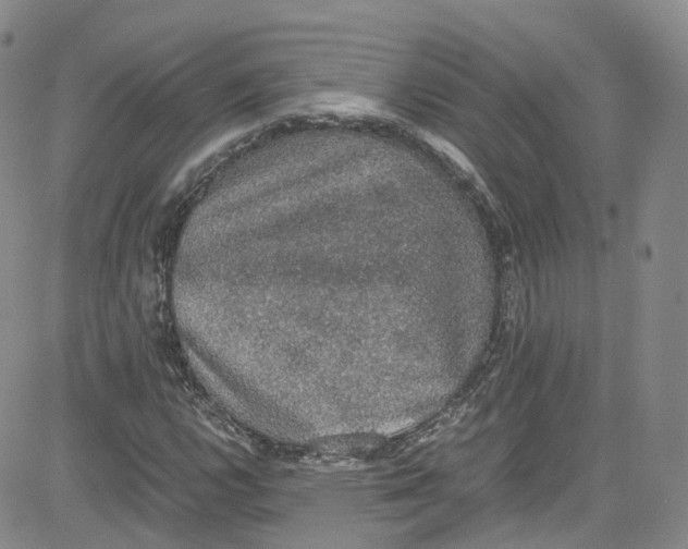 X0000080731112200701051052