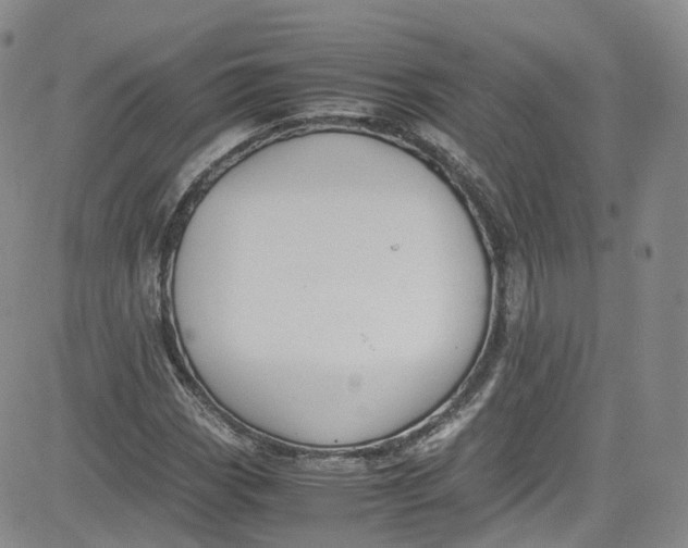 X0000080731113200701051052