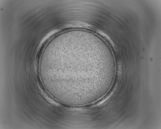 X0000080731114200701051052