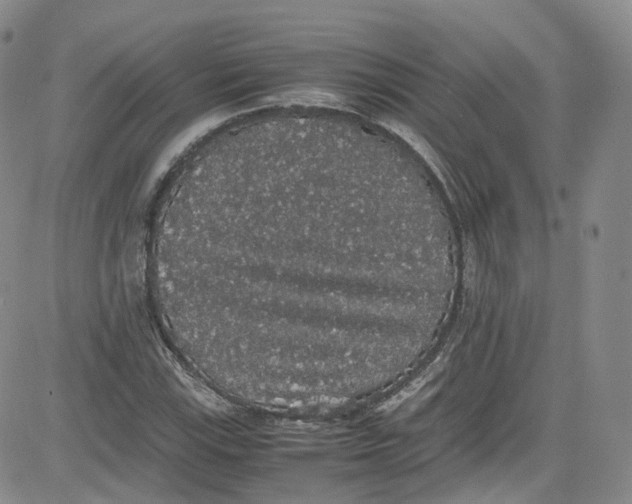 X0000080731115200701051052